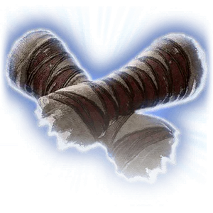 Gants